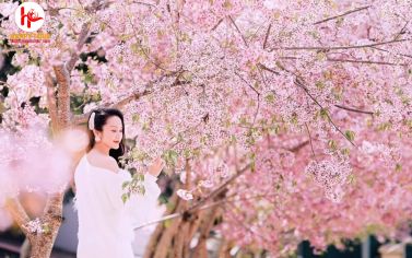 TOUR PHAN THIẾT - ĐÀ LẠT 4 NGÀY 3 ĐÊM - TOUR TẾT 2026