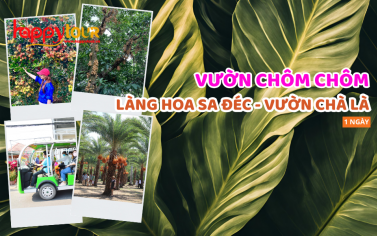 TOUR ĐỒNG THÁP - VƯỜN CHÔM CHÔM - VƯỜN CHÀ LÀ 1 NGÀY