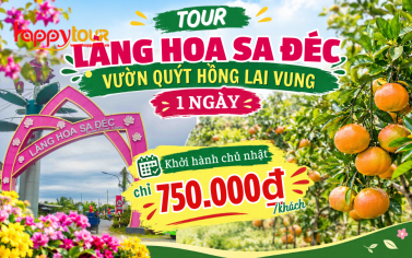 TOUR LÀNG HOA SA ĐÉC - QUÝT HỒNG LAI VUNG 1 NGÀY