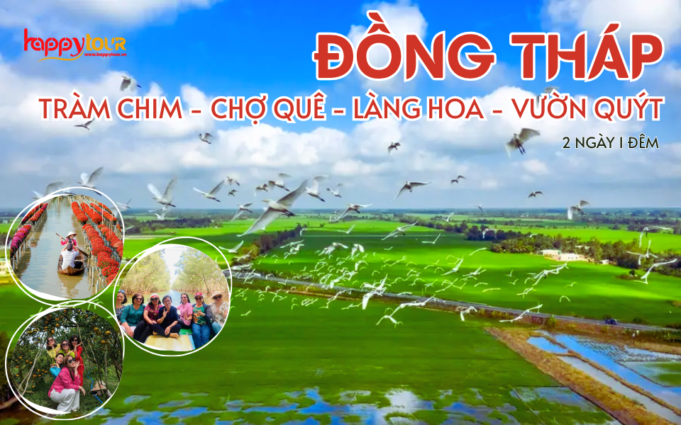 TOUR ĐỒNG THÁP - TRÀM CHIM - VƯỜN QUÝT 2 NGÀY 1 ĐÊM